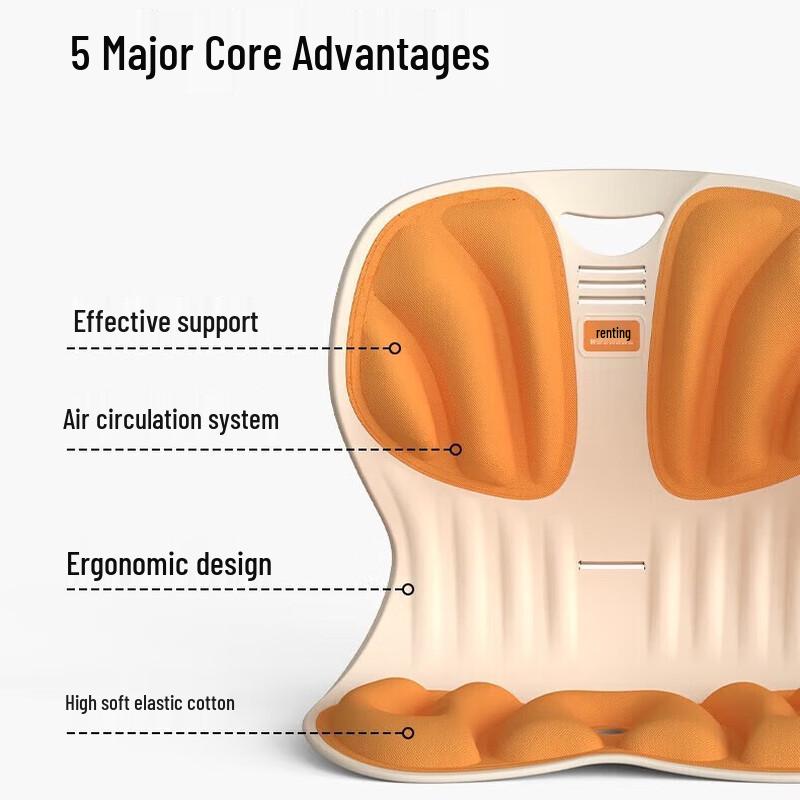 Hezheng Ergonomic Lumbar Support Cushion CN plug (adapter included)