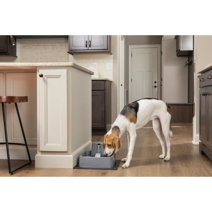 PetSafe - Drinkwell Wasserbrunnen für Katzen und Hunde 3,7L - Geruchsfilter inklusive – Leicht zu reinigen - Leise