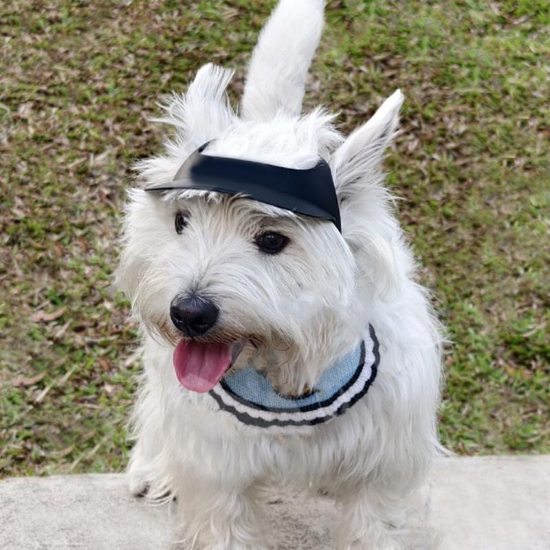 Puppy Sunshades Dogs Sunbonnet with Ear Holes Camping Supplies Headwear Bright Color Hat Summer Hat with Strap Belt