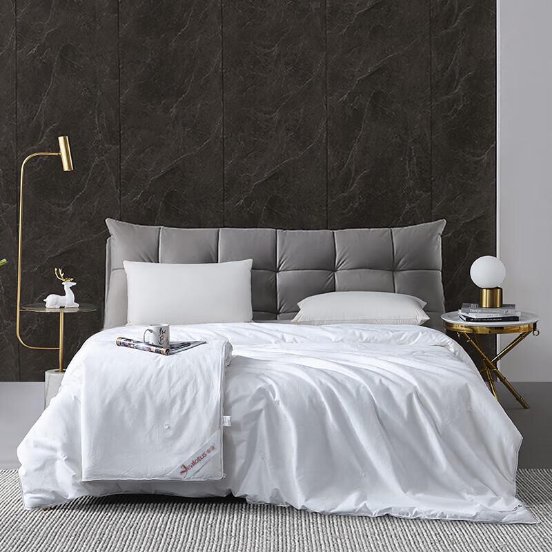 Huaxia Shengjin Jacquard Mulberry Silk Quilt