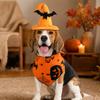 Halloween Dog and Costume Set, Funny Pet Clothes with Accessories