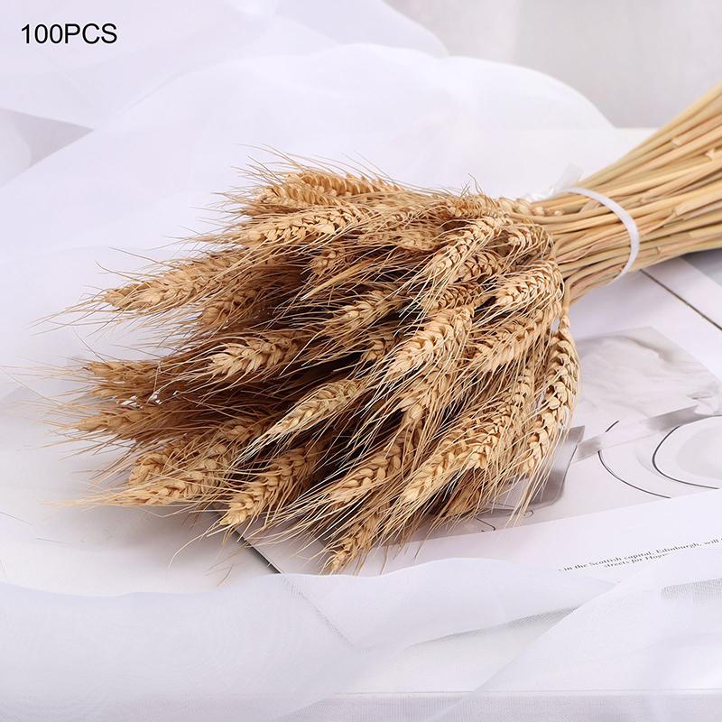 100 Pcs Natural Dried Wheat Stalks Dry Wheat Spikes for Decoration Bouquet Boho Home Tables Wedding Party Fireplace Decor