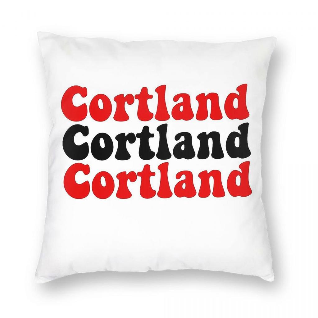 SUNY Cortland Square Pillowcase Polyester Linen Velvet Pattern Zip Decor Throw Pillow Case Sofa Seater Cushion Cover