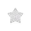 Broches en lichaamssieraden