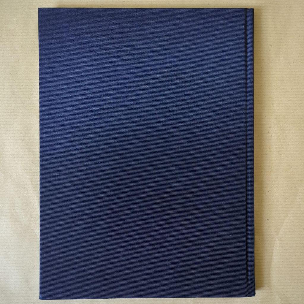 [USED] <New Edition> The Altar of Narcissus Takato Yamamoto Art Collection