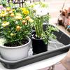 A Top-quality Garden tidy potted tray, indoor transplant gardening planting accessories large succulent plant table