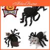 Halloween Pet Dog And Cat Black Spider Dress Up Cosplay Costume For Funny Party