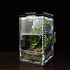 Transparent Reptile Feeding Box Ventilated Buckle Lock Acrylic Crawler Box Anti-escape Lizard Enclosure For Lizard Spider