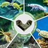 Shrimp Tunnel Resin Animal Habitat For Breeding Shrimp Cave Tunnel Accessories For Tank Breeding Hiding Stuff Water Indoor