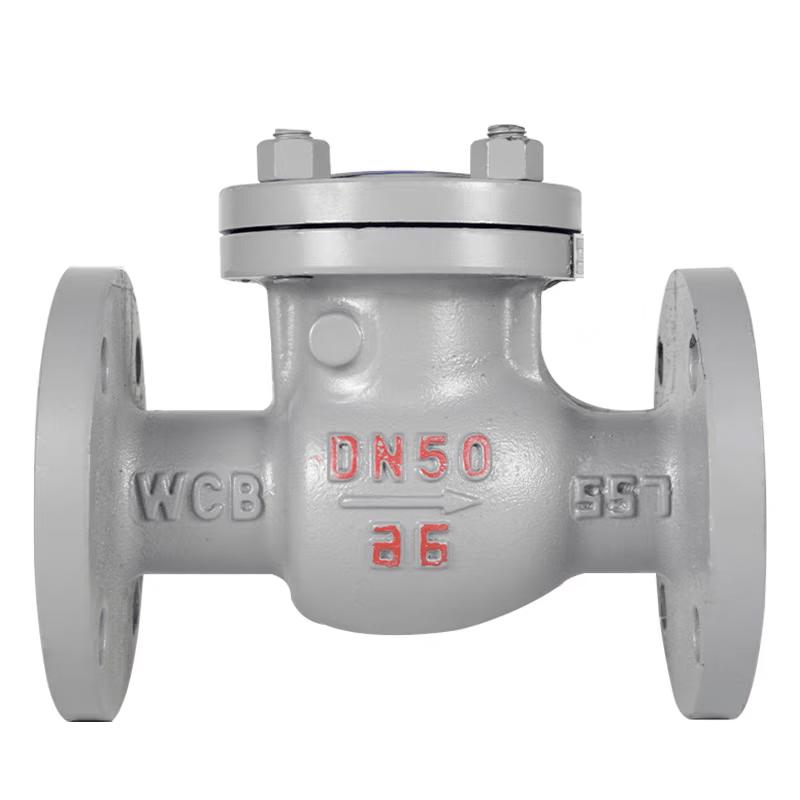 Gemelong Flanged Cast Iron Check Valve