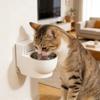 Pet Fun Toilet Water Dispenser
