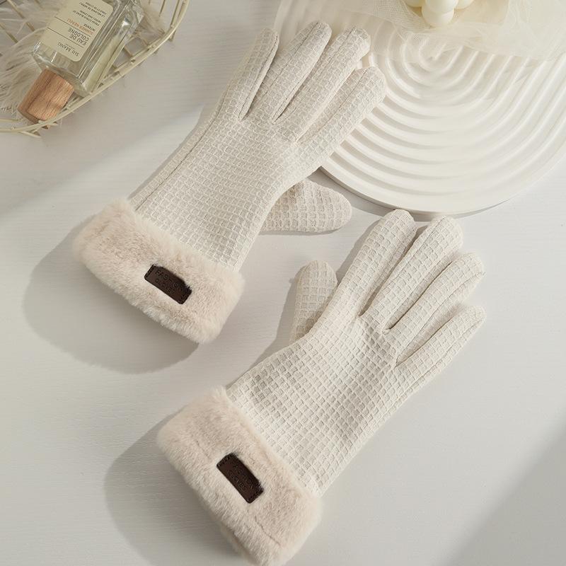 Warm Gloves for Women In Autumn and Winter Outdoor Riding Cold Proof Thickened Plush Velvet Cute Bow Develvet Touch Screen Gloves