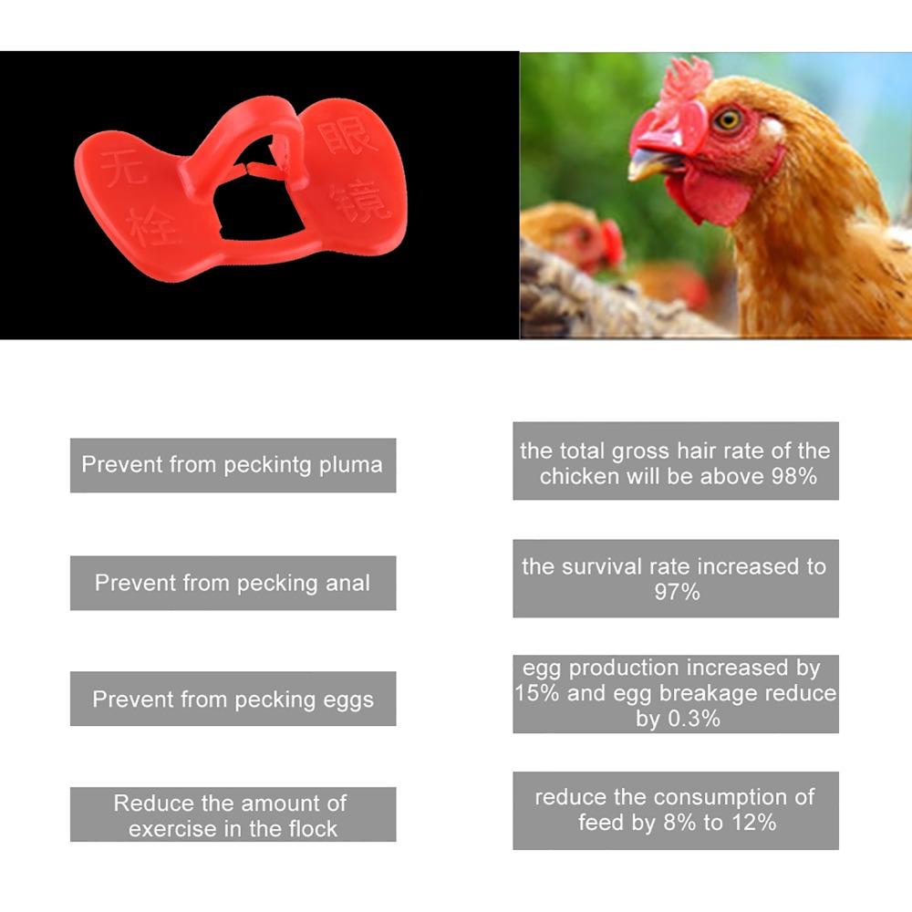 20pcs Pinless Design Anti-Pecking Goggles Non-Tethered Style Chicken Peeper  For Chickens