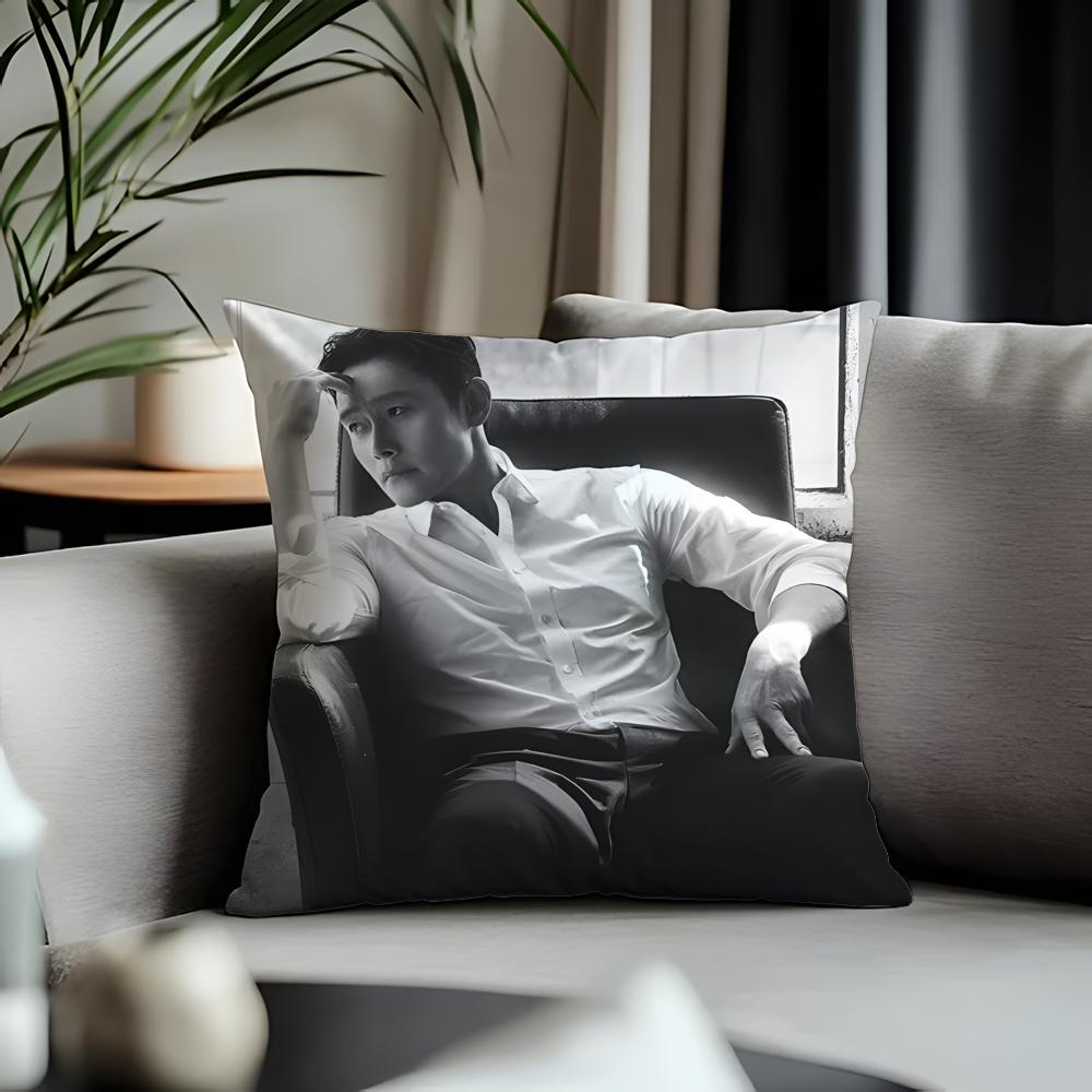 Viral Llee Byung Hunful Cushion Cover Antidustmite Pillowcase Invisible Zipper Silky Short Plush Sofa Cushion Cover