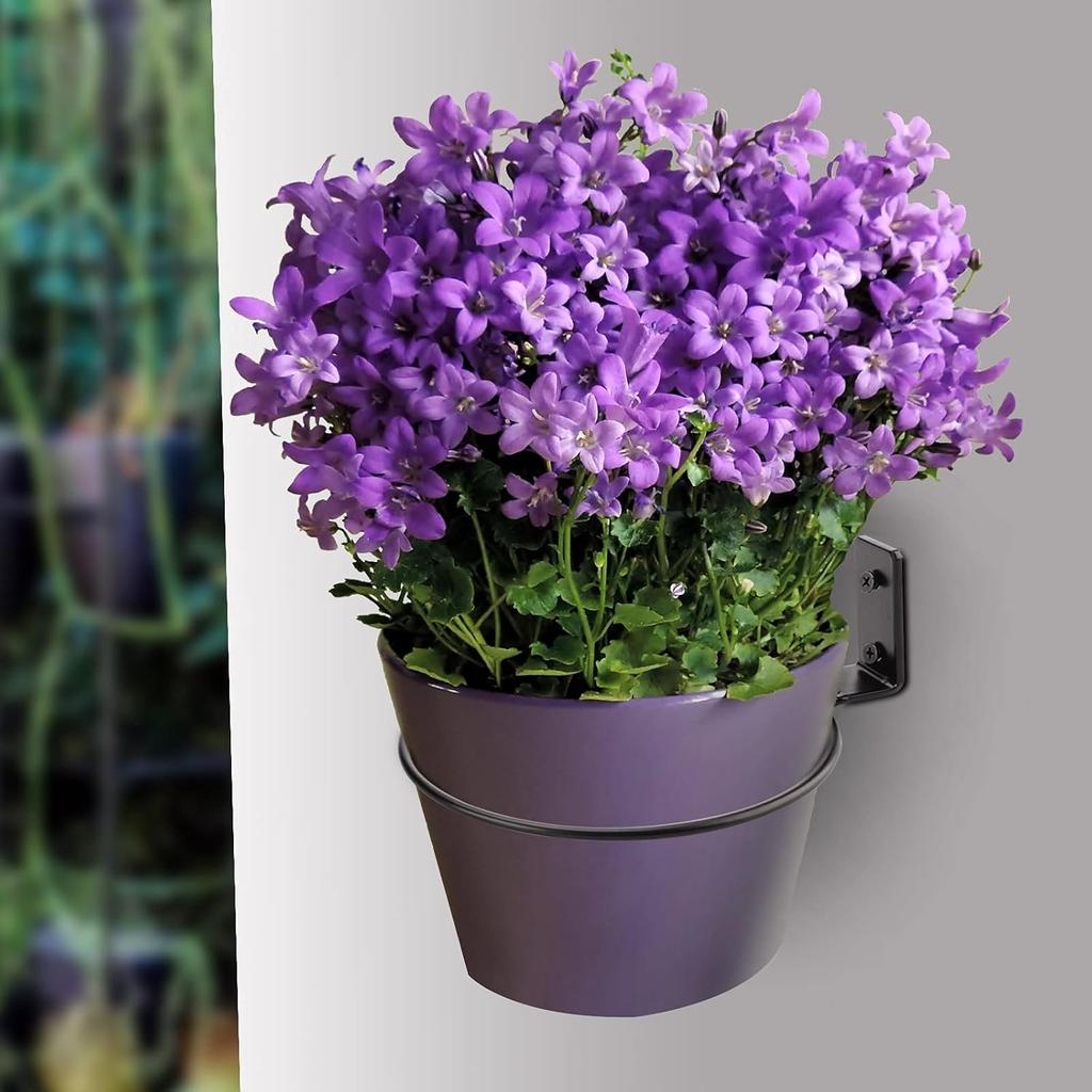 Flower Plant Pot Holder Ring, 2Pcs 8Inch Black Wall Planter Hook Hanging Stand Mounted Hangers Collapsible Bracket for Balcony Home Garden Yard