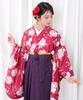 Hakama Two Shaku Sleeve Plain Graduation 4 Piece Set Hakama Lower Gorgeous E F Katakoi No Sakura Hakama [KYOETSU] Set, Kimono, Hakama, Ceremony,