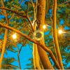 4 Modes Tent String Lights Ambient Light LED Camping String Lights  Garden Backyard