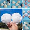 Summer Parties 2\\\'\\\'-3\\\'\\\' DIY Craft Shells Creative Decoration Ideas For Parties Ornament Natural And Safe Shells