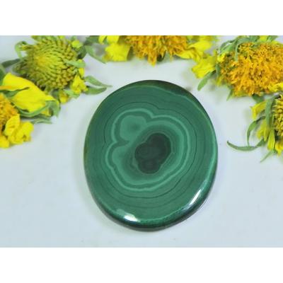 AA++ 68Cts. Natural Green Malachite Oval Cabochon Loose Gemstone 28X35X05MM D-60