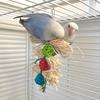 Yousheng Bird Playing Toy Bite Resistant Lanyard Teeth Grinding Healthy Parrots Macaws Bird Supplies for Pet Cage