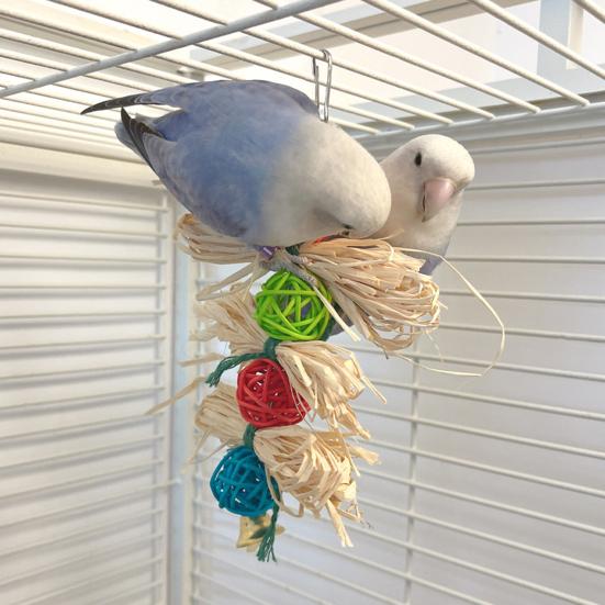 Yousheng Bird Playing Toy Bite Resistant Lanyard Teeth Grinding Healthy Parrots Macaws Bird Supplies for Pet Cage