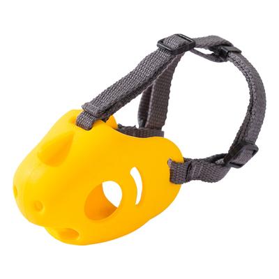 Köpek – Eğitim ve Öğretim Araçları