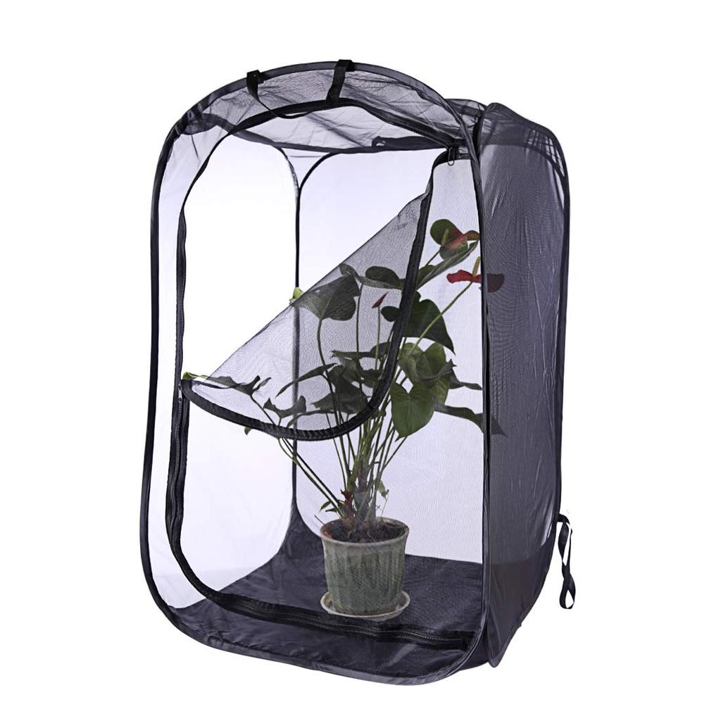 Mini casa jardim crescente tendas inseto flor planta estufa translúcida