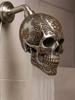 Shower Head Skull Shape Tub Sprayer Replacement Resin Skull Shower Heads for Bathroom Tub Spa Home Apartment Hotel