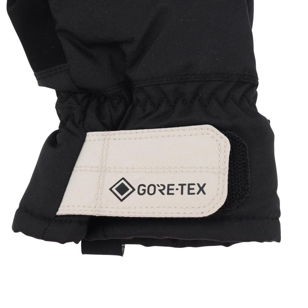 Men's SATURN GORE-TEX Snow Gloves (BE237730)