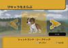 Hund und Zauberhut Wii -
