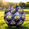 Aston Villa FootballPrinted Size 5 Soccer Ball, Anti Slip Adult Match Football Souvenir for Football Fans