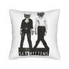 Sex Kittens Sex Pistols Pillow Cover  Vintage Pillow Case For Sofa Home Decor Comfy Pillowcases Birthday Gift