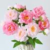 Real Touch Artificial Peony Flower Faux Silk Peony with Long Stem for Valentine's Day Floral Arrangement Wedding Party Home Kitchen Vase Decor