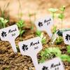 Mini-Gartengeräte-Set Etikettenbrett Kunststoff Gartenpflanzen Haushalt Sukkulente Topfpflanze Anbau Bohren Säen TMZ