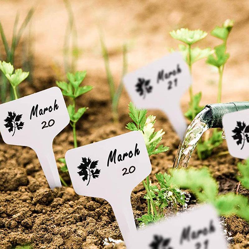 Mini Gardening Tool Set Label Board Plastic Garden Plants Household Succulent Potted Plant Cultivation Drilling Sowing TMZ