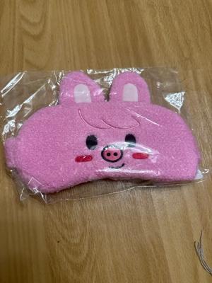 STRAY KIDS Pig Chanbin Sleeping Kids
