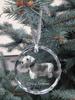 Cesky Terrier, Czech Terrier - Crystal Bauble with a Photo, Dog Photo In Crystal, Personalized Christmas Tree Ornament by Art-Dog Brand