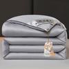 New Solid Color Simple Satin Silk Quilt Spring and Autumn Cotton Thickened Winter Quilt Universal In All Seasons