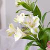 Fake Bouquet With High-End Feel 5 Head Of Narcissus Lily Simulated Flower Trumpet Flower Engineering Flower Material Home Decor