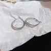 Silver Needle Autumn and Winter Metal Earrings Earrings Niche Fashion Cold Wind Earrings Versatile Light Luxury Premium Earrings