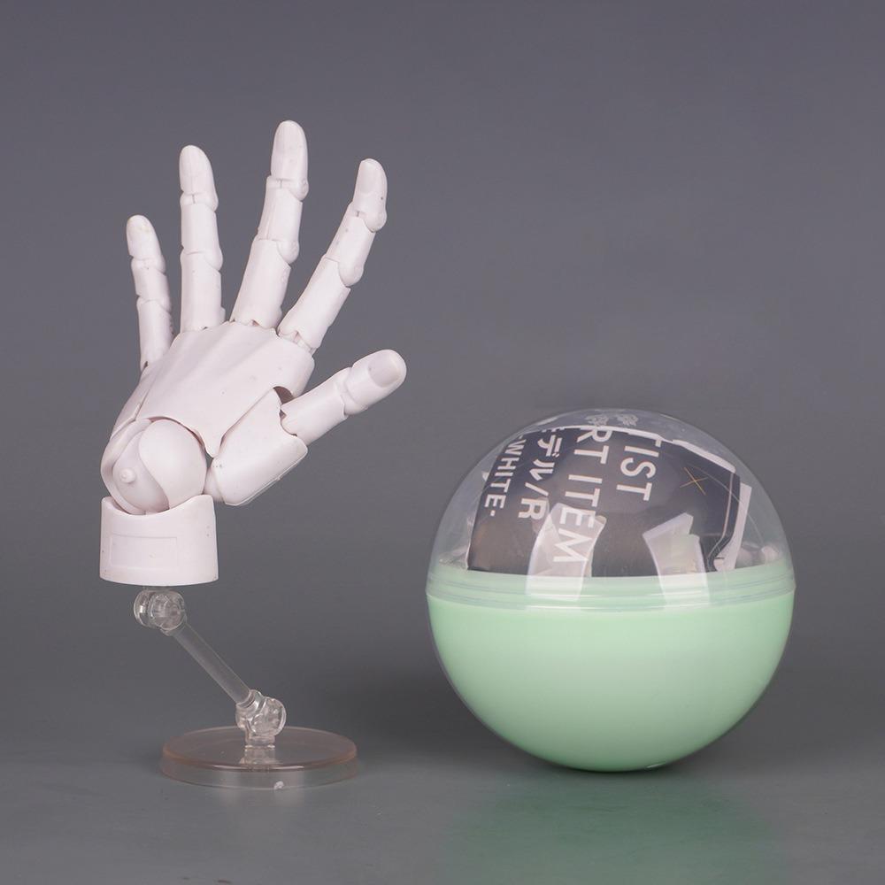 1:2 Scale Human Hand Model Mini Size Twisted Egg Design Palm Model Movable Joints With Posable Fingers Movable Finger Joints