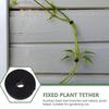 5M Garden Twine Plant Ties Nylon Plant Bandage Garden Cane Accessories Loop Colors Support Bamb P6X9