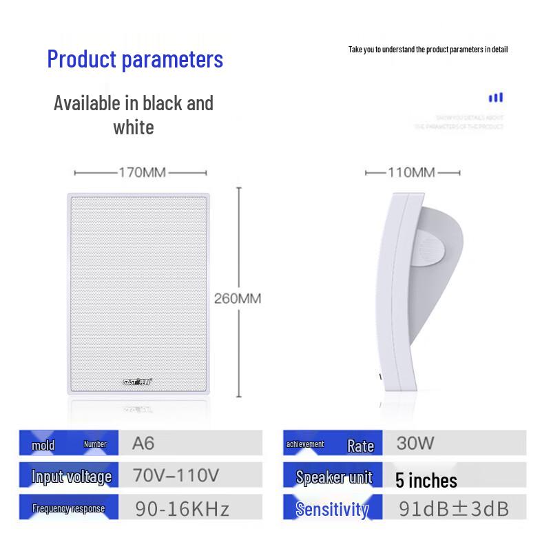 SAST Commercial Wall-Mounted Public Address Speaker CN plug (adapter included)