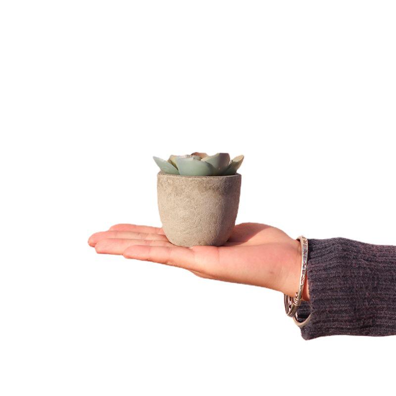 Indoor Retro Succulent Bonsai Fake Flower Ornament for Home and Living Room Décor