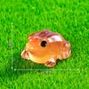 Woondecoratie – Decoratieve terraria