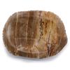 Soap Dish Brown Petrified Wood
