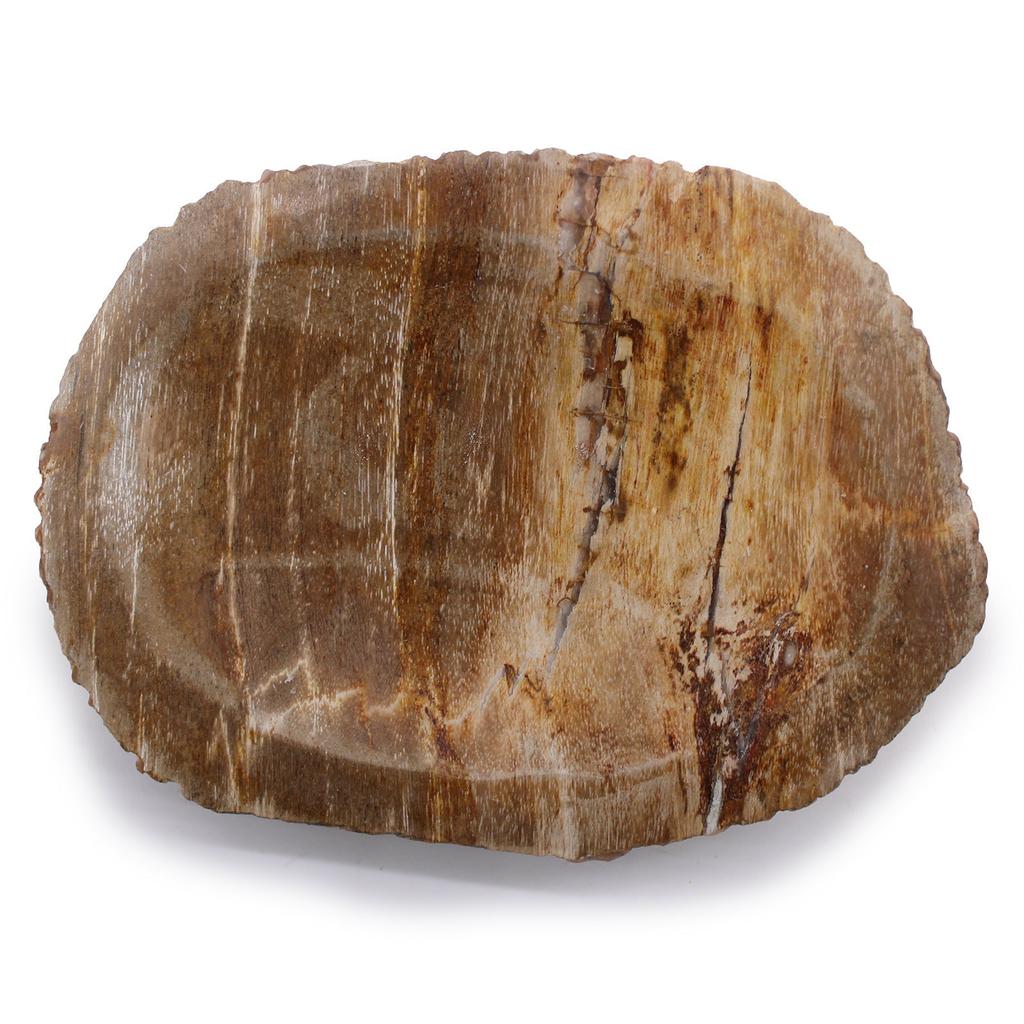Soap Dish Brown Petrified Wood