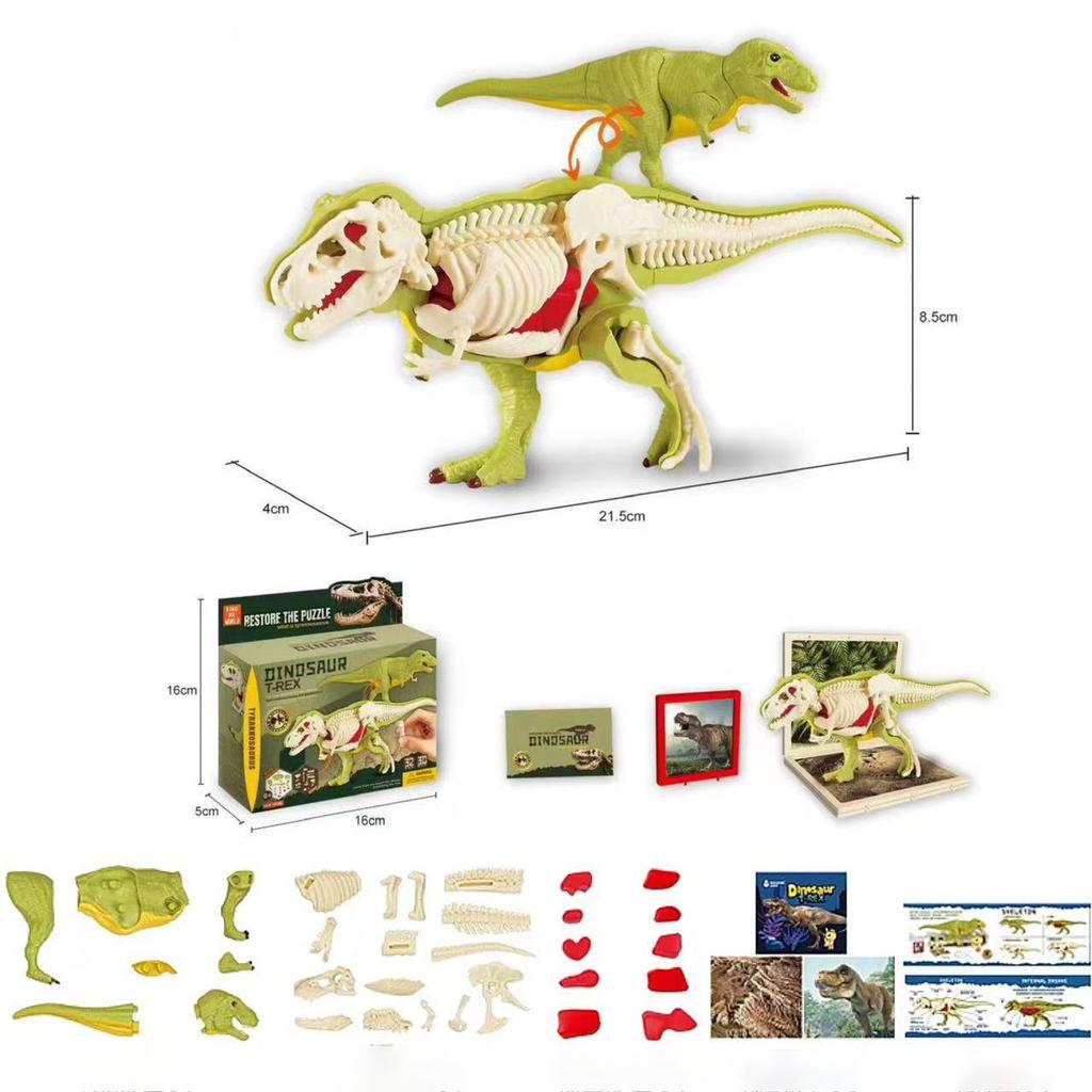 3D DIY Zusammengebaut Anatomie Dinosaurier Spielzeug Kinder Montage Tier Sammlerstück Dinosaurier Spielzeug Anatomie Kunststoffmodell Pädagogisch Kind