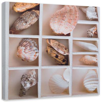 Canvas Print Shells Nature Collage
