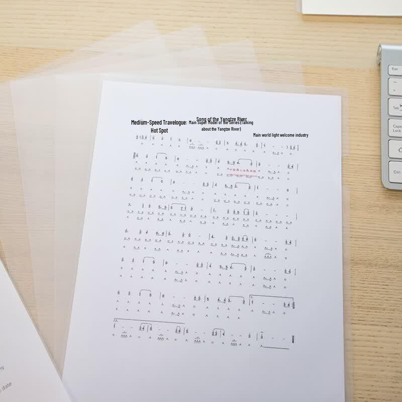 Chao Zong A4 Transparent PP Document Sleeves